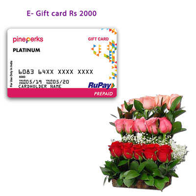 "Gift Hamper code - BG10 - Click here to View more details about this Product